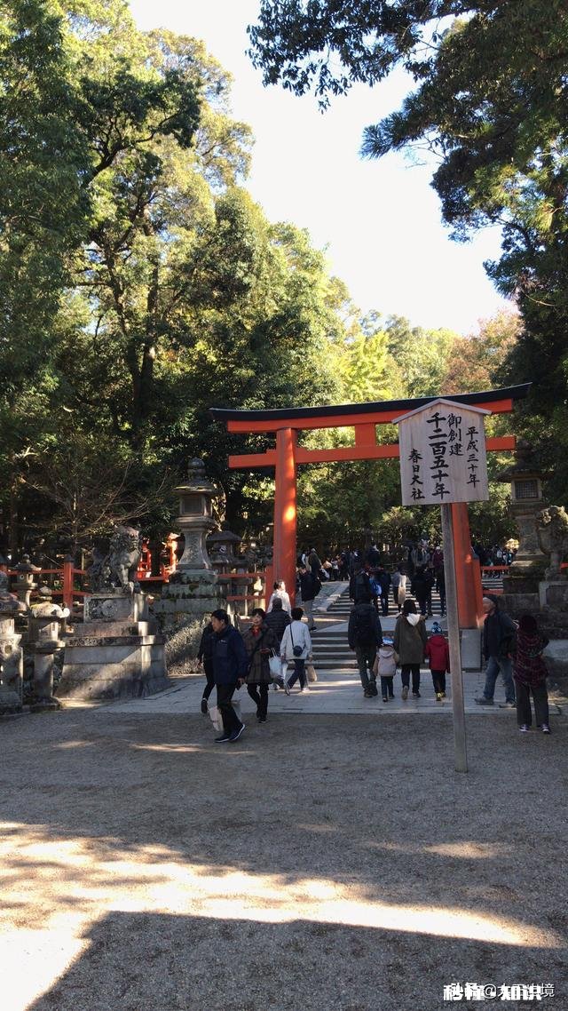 去日本温泉，自助游应该怎么玩