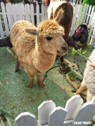 壁挂式净水器装什么地方好