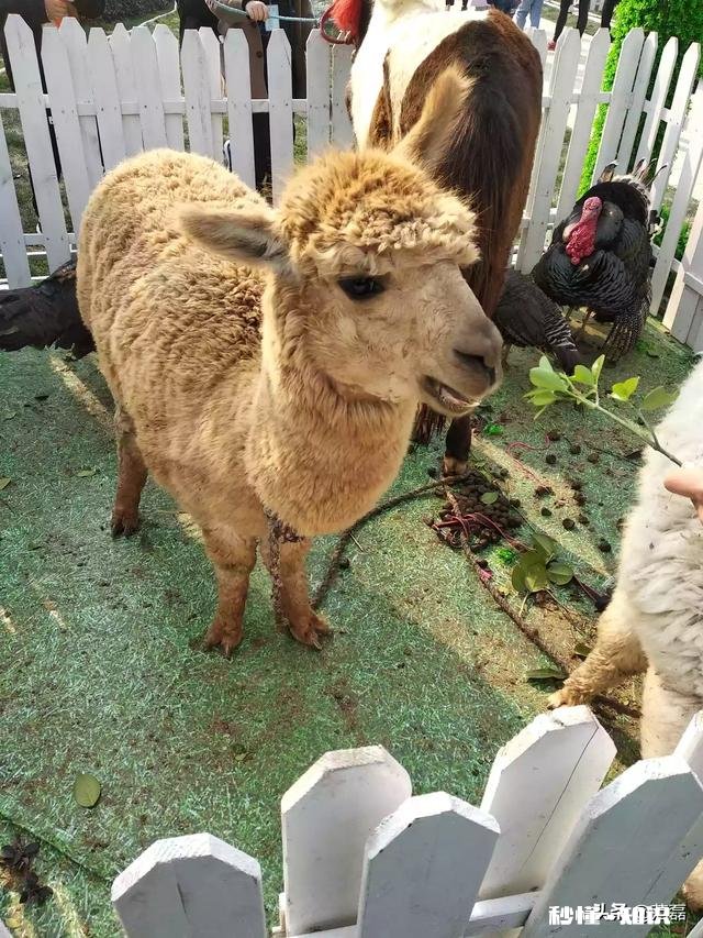 壁挂式净水器装什么地方好