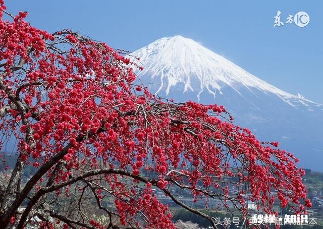日本投资哪里的事务，可以保证投资签证的续签得以通过
