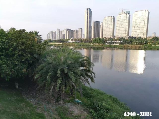 二手房的网签合同给买方吗