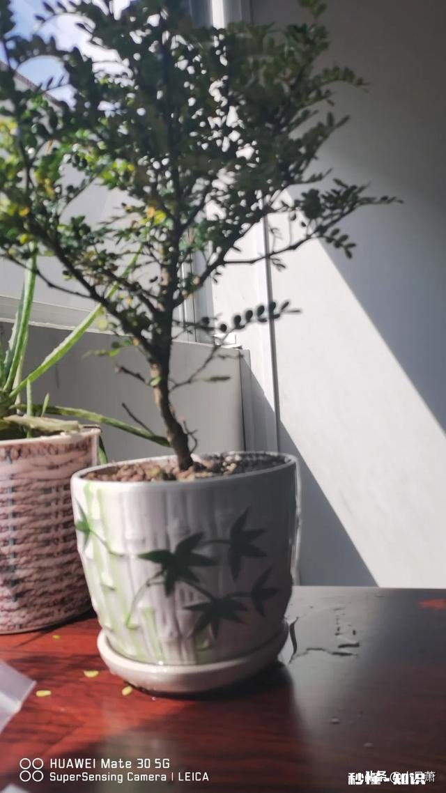 结束一段关系之后，你们怎么处理联系方式