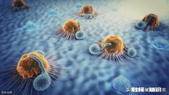 近几年为啥癌症发病率高