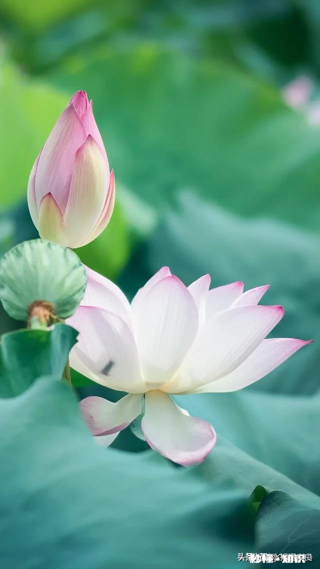 如果整个地球就剩下不到十个人，你还愿意活着吗为什么