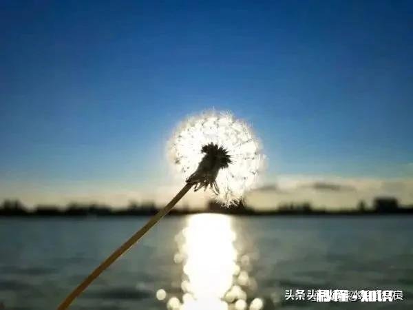 如果整个地球就剩下不到十个人，你还愿意活着吗为什么