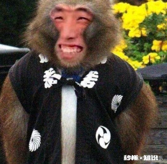 停服 DNF凉了会对旭旭宝宝有什么影响