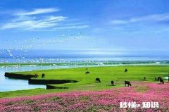 淡水湖一定有河流流入，有河流流出吗为什么