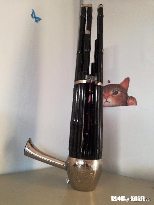 古筝，笛子，二胡，唢呐，琵琶等，最能代表华夏民族乐器是什么