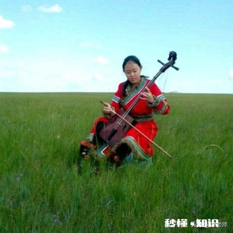 古筝，笛子，二胡，唢呐，琵琶等，最能代表华夏民族乐器是什么