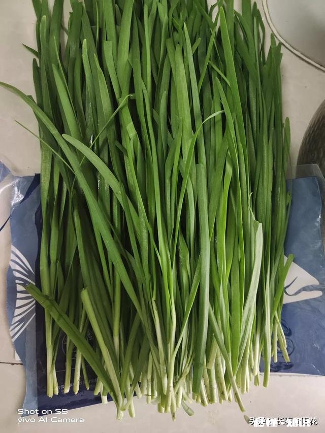 疫情期间你在网上买了什么平时不在网上买的东西