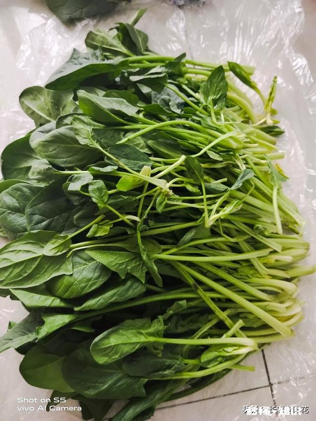 疫情期间你在网上买了什么平时不在网上买的东西