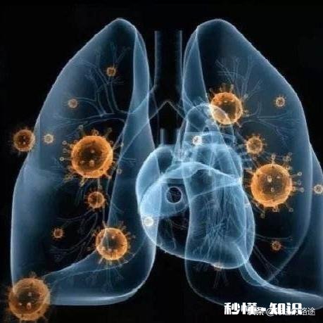 乙醇消毒液能杀死新冠病毒吗