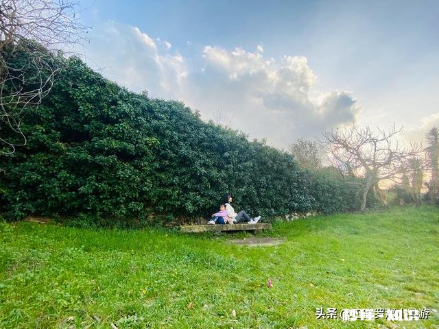 疫情结束后，你希望和谁一起外出旅游为什么