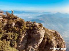 疫情结束后，你希望和谁一起外出旅游为什么