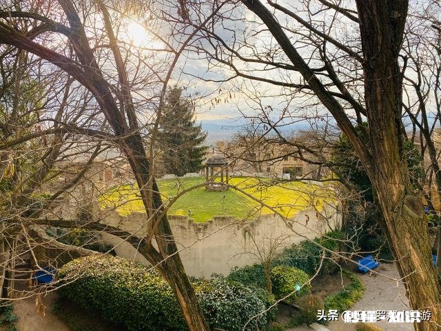 疫情结束后，你希望和谁一起外出旅游为什么