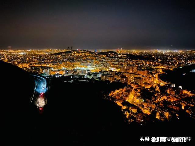 疫情结束后，你希望和谁一起外出旅游为什么