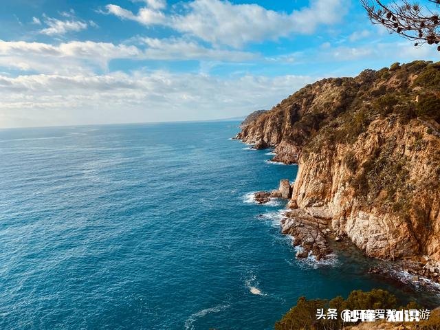 疫情结束后，你希望和谁一起外出旅游为什么