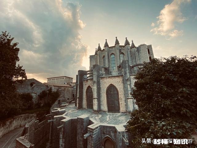 疫情结束后，你希望和谁一起外出旅游为什么