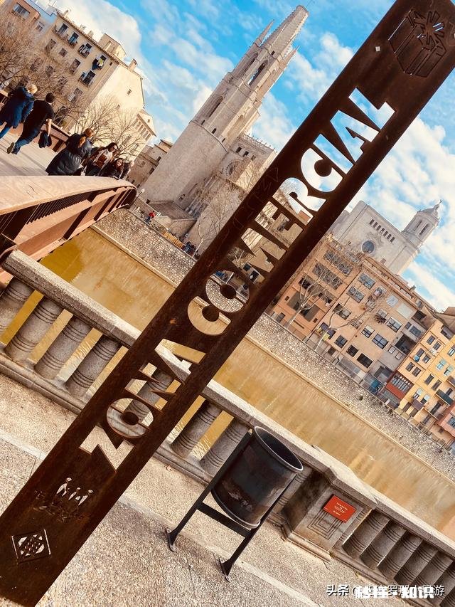 疫情结束后，你希望和谁一起外出旅游为什么