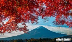 去日本旅游用自己带烧水壶吗有什么需要注意的吗