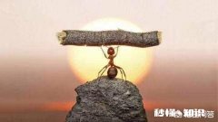 如何使人变的更坚强