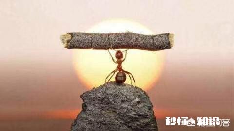 如何使人变的更坚强