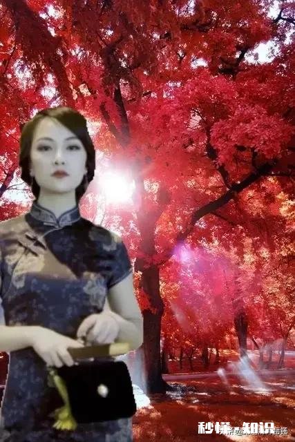 上联：绿叶梢梢竹顶天，下联怎么对