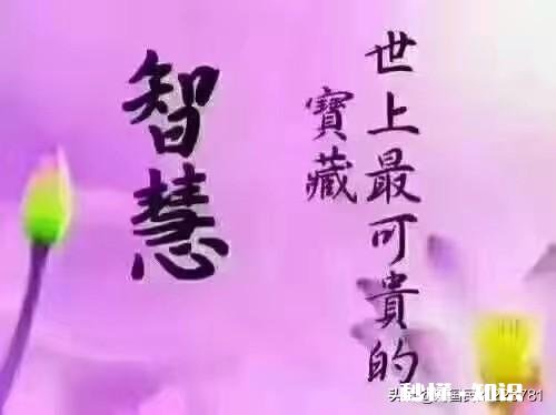 有些人成天评论别人负能量,难道这些人自身就是正能量吗该如何看待这些评论者