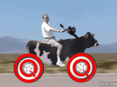 有什么特别牛的GIF动态图片