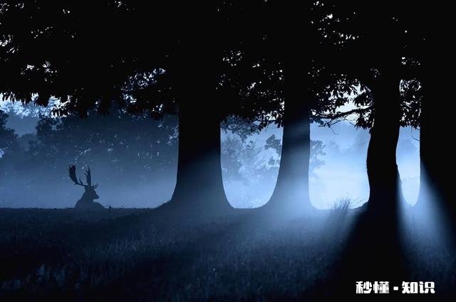 作为父亲是希望自己的儿子将来比自己优秀还是与自己比肩