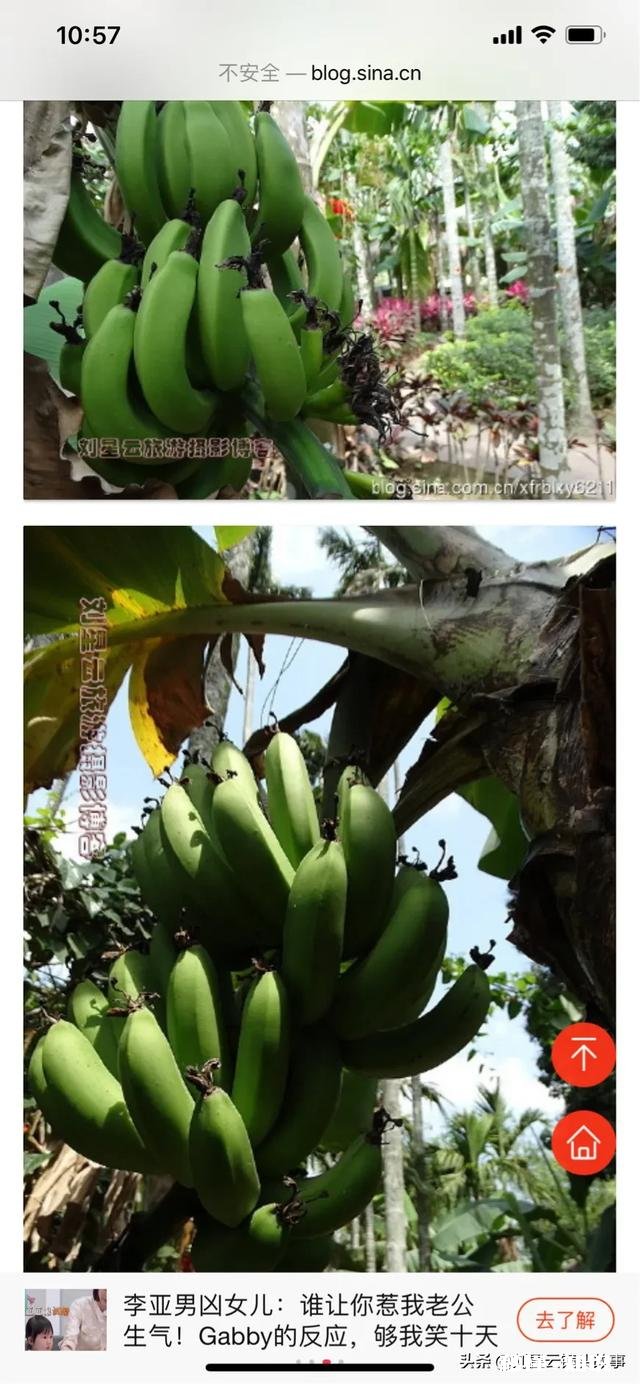 旅行最容易遇到什么尴尬事