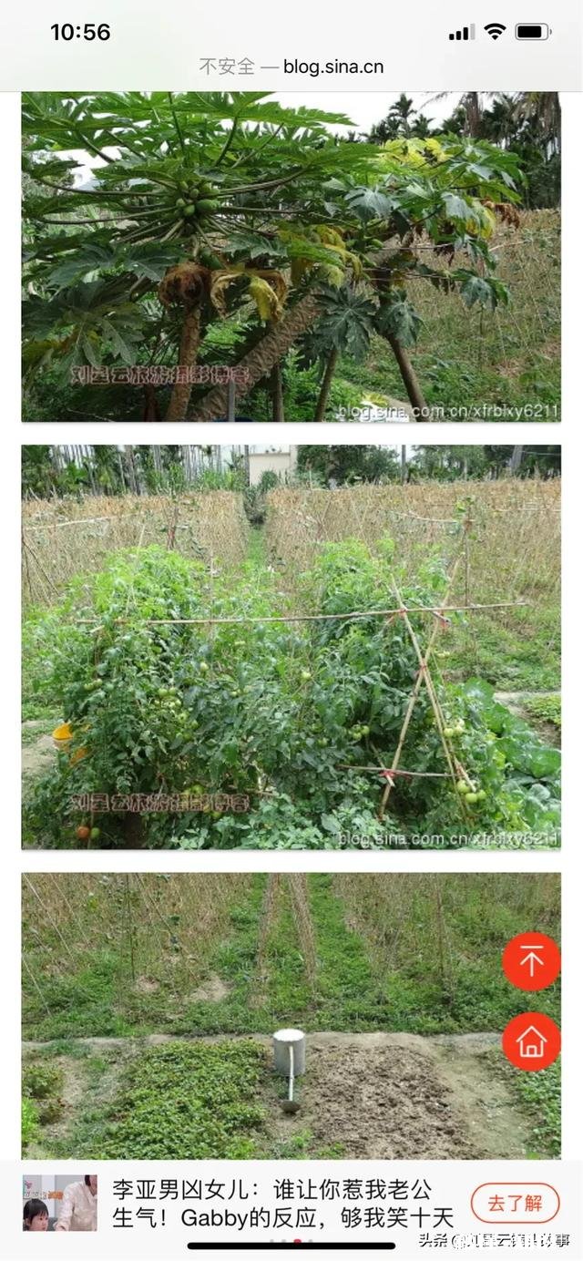 旅行最容易遇到什么尴尬事