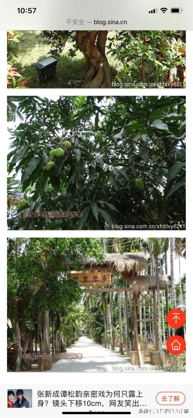 旅行最容易遇到什么尴尬事