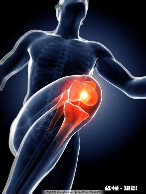 膝关节骨质增生，软骨能再生修复吗