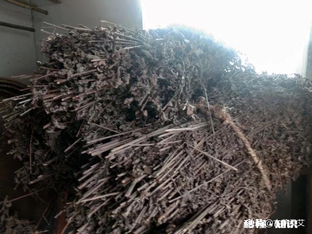 坐月子期间，婆婆让用艾草洗澡，这种方式对吗有什么帮助