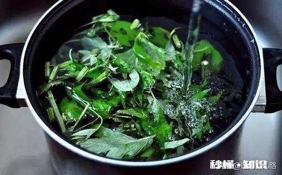 坐月子期间，婆婆让用艾草洗澡，这种方式对吗有什么帮助
