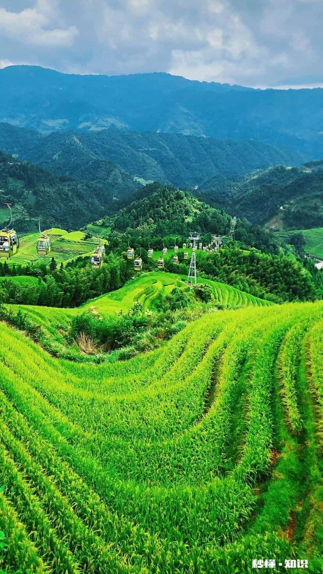 冬季最适合去哪里旅行