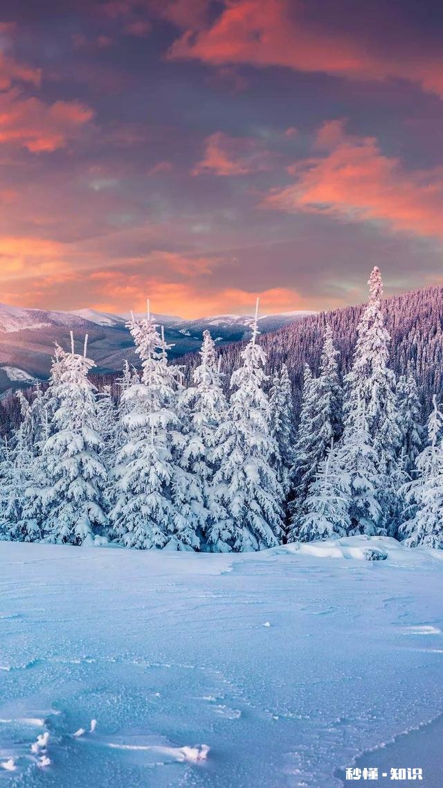 冬季最适合去哪里旅行