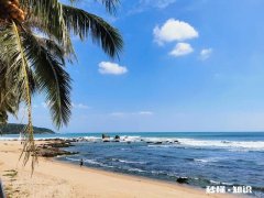 冬季最适合去哪里旅行