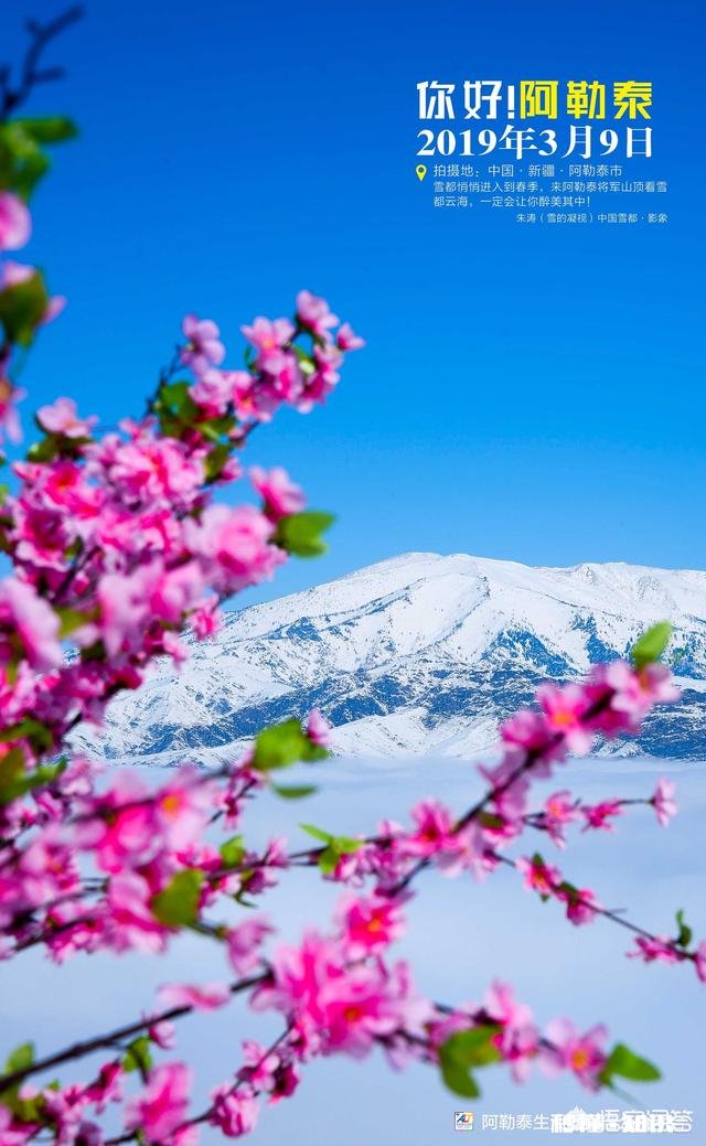 如何把自己拍摄水平提高，有哪些技巧