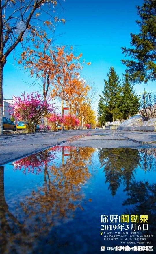 如何把自己拍摄水平提高，有哪些技巧