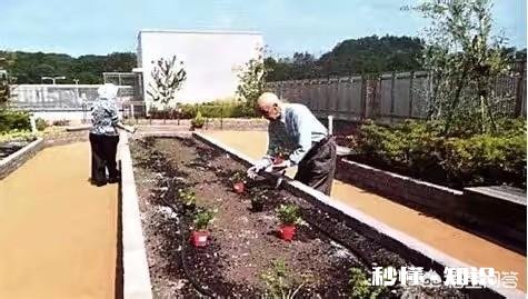 老龄化，是如何把日本一步步逼成“养老天堂”的