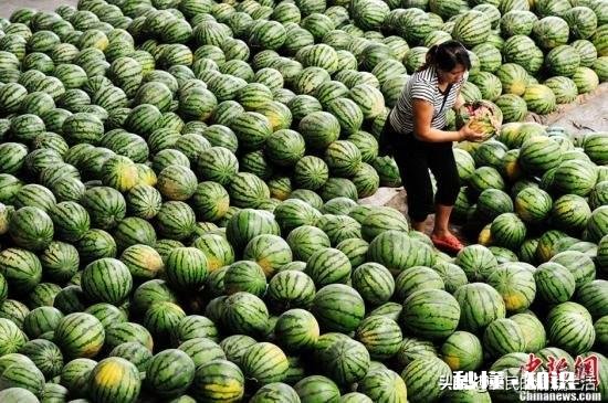 西瓜比车厘子便宜很多，人人都吃得起，为何反而连年滞销