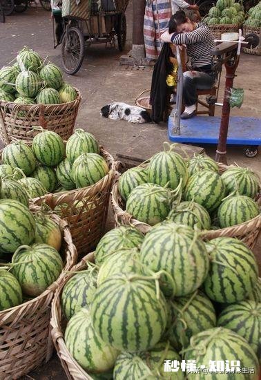 西瓜比车厘子便宜很多，人人都吃得起，为何反而连年滞销