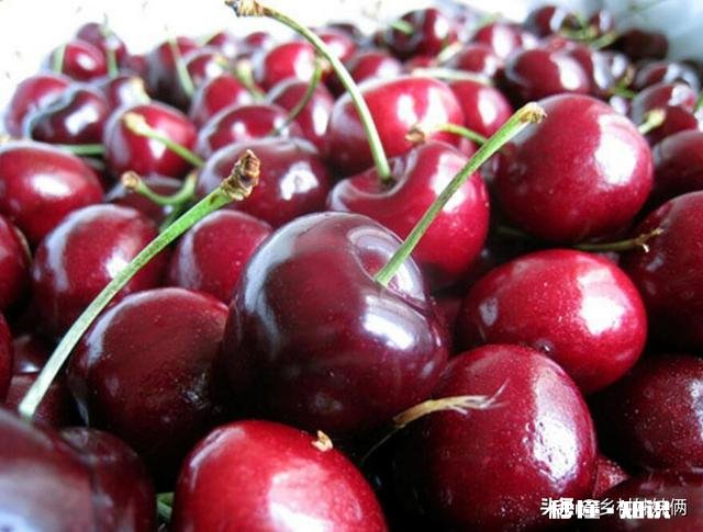 西瓜比车厘子便宜很多，人人都吃得起，为何反而连年滞销