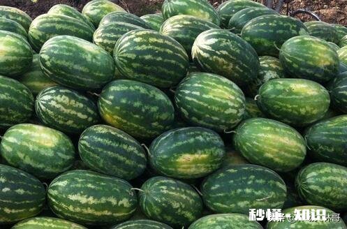 西瓜比车厘子便宜很多，人人都吃得起，为何反而连年滞销