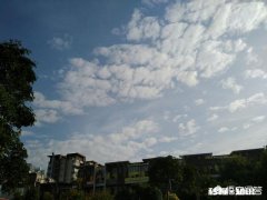 1—9月南宁市区“气质”优良率为93.0%，在全国前列，你怎么看