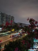 那些高喊“我爱中国”，大肆捞金的外国网红，是真的爱中国吗