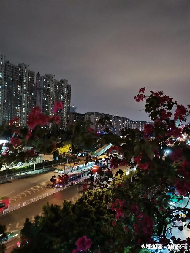 那些高喊“我爱中国”，大肆捞金的外国网红，是真的爱中国吗