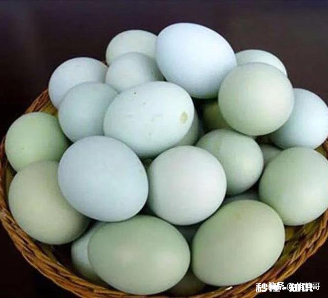 生鸭蛋怎么做好吃